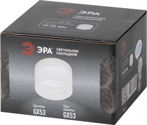 Точечный светильник ЭРА OL30 WH (220V)