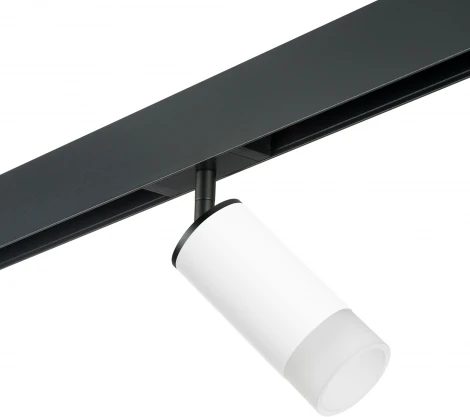Трековый светильник однофазный 220V Lightstar Rullo PRO43631 (круглые)