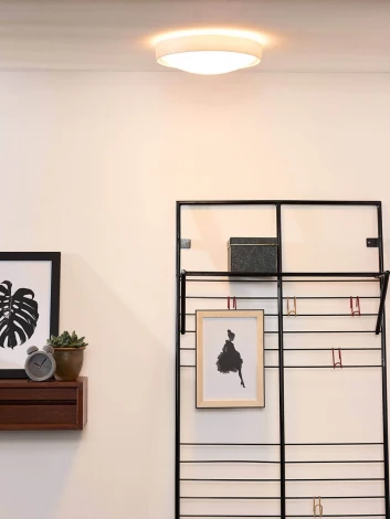 Настенно-потолочный светильник Lucide Lex 08109/02/31