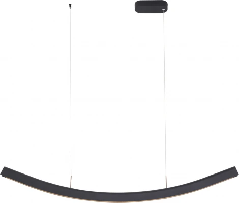 Подвесной светильник ST Luce Harmony SL6232.403.01 Черный/Черный LED 1*20W 4000K (220V, на тросе)