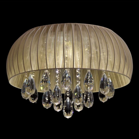 Потолочная люстра MW-Light Жаклин 465015009