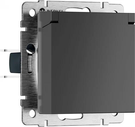 Розетка с заземлением с защит. крышкой и шторками (графит матовый) Werkel W1171264 (a069592)