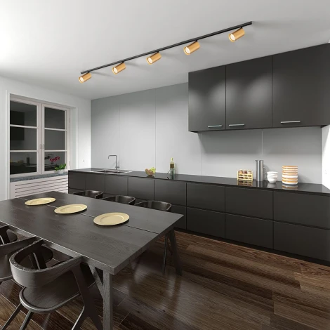 Трековый светильник однофазный Escada 20001 20001TRA/01 BR 1x50Вт GU10, металл, латунь матовая (220V, круглые)