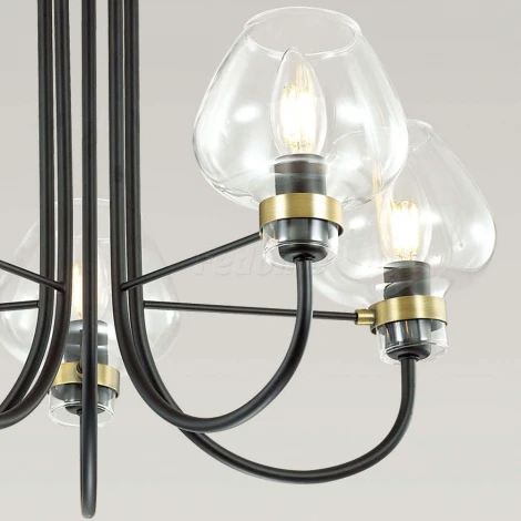 Потолочная люстра Lumion Ilona 3708/5C