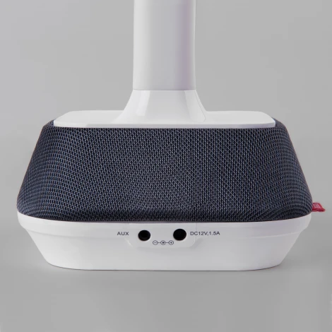 Офисная настольная лампа Elektrostandard Voice 80417/1 белый