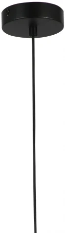 Подвесной светильник F-Promo Merger 2920-1P (220V, на проводе, круглые)