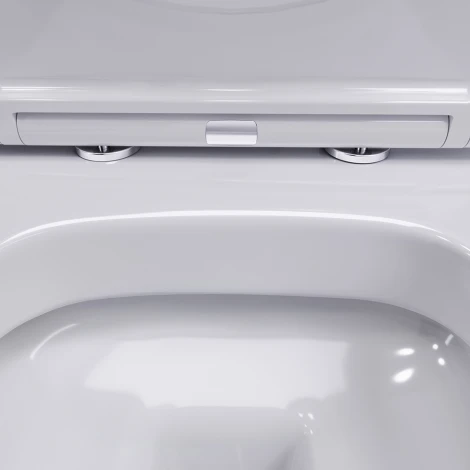 Унитаз подвесной Damixa Sirius DX86C1700SC с микролифтом