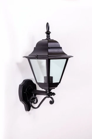 Настенный фонарь уличный Oasis Light 79901M Bl (220V, IP44)