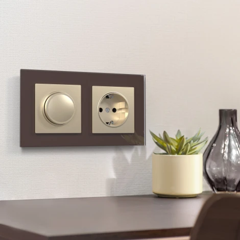 Розетка с заземлением (шампань) Werkel W1171011 (a050867)