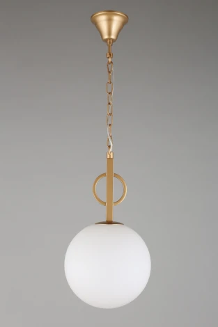 Подвесной светильник Aployt Gracia APL.751.06.01 (220V, на цепи, шар)