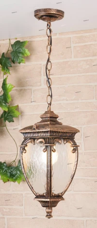 Уличный светильник подвесной Elektrostandard Andromeda черное золото GLYF-8024H (220V, на цепи, под старину, IP44)