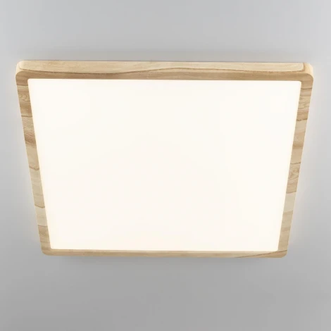 Настенно-потолочный светильник Citilux Бейсик CL738K502V (регулировка яркости, LED, 220V, IP40)