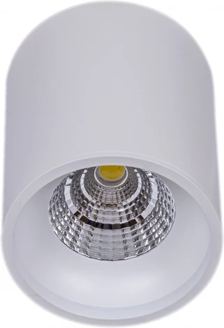 Точечный светильник светодиодный Reluce 81117-9.5-001RT LED10W WT (220V)