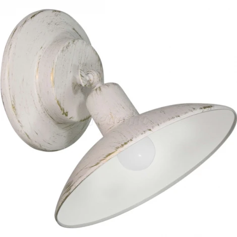 Спот Day&Night S9191-1