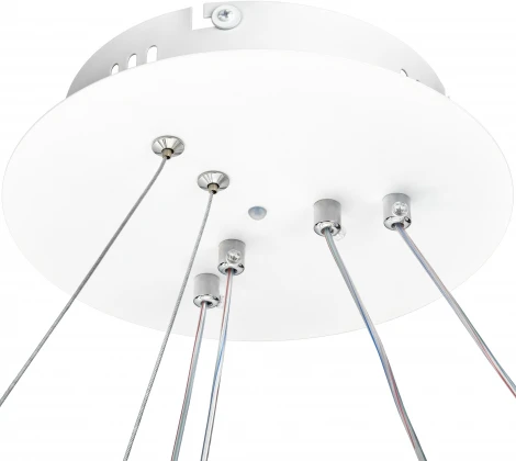 Подвесная люстра светодиодная с ДУ Ritter Lucido 52932 7