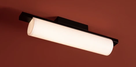 Потолочный светильник Freya Even FR5625CL-L20B