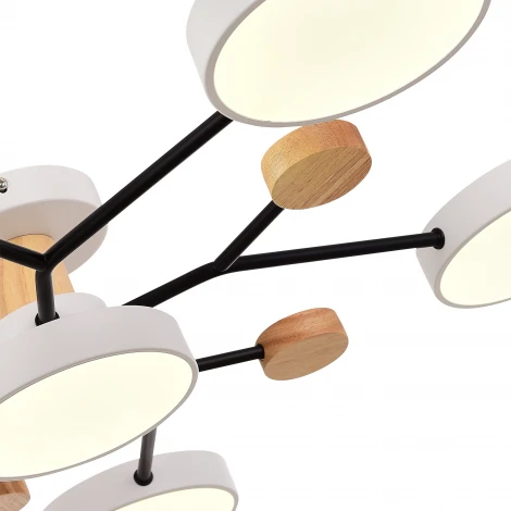 Потолочная люстра на штанге Evoluce Faema SLE6006-502-06