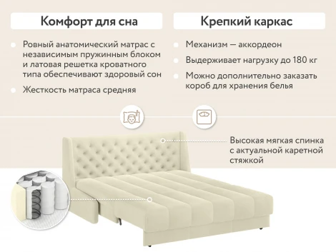 Кровать-диван прямой молочный, 160 D1 Ричмонд AAA41324002 Premier 01