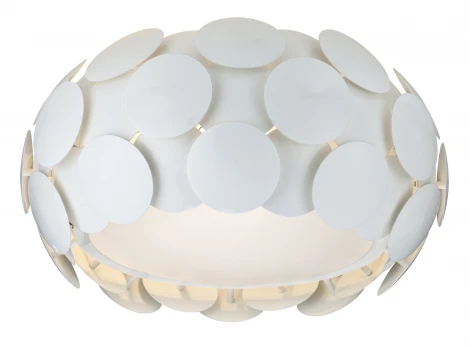 Потолочный светильник ST Luce SL881 SL881.502.05