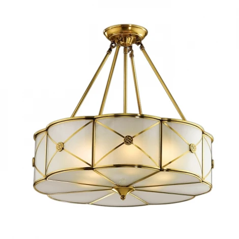 Потолочная люстра Odeon Light Riona 2270/6