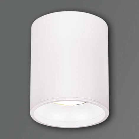 Точечный светильник Reluce 16132-9.5-001CN MR16 WT (220V)