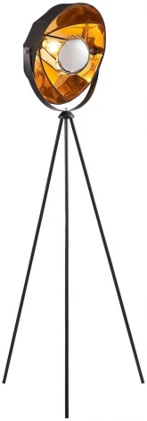 Торшер-прожектор на треноге Lussole Lgo Klamath GRLSP-0556 (220V, IP21)