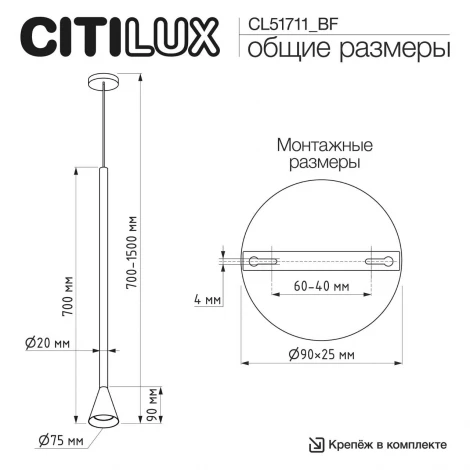 Подвесной светильника (+BF9025BK) черный Citilux Duza CL51711_BF