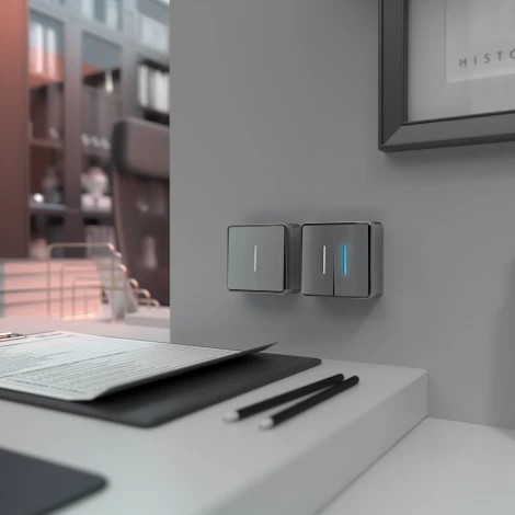 Выключатель двухклавишный с подсветкой Gallant (серебряный) Werkel W5020106 (a052770)