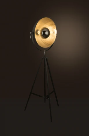 Торшер-прожектор на треноге Globo Xirena 58287 (220V)