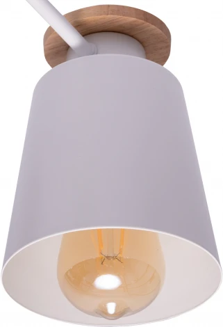 Потолочная люстра на штанге Ritter Volante 52443 4