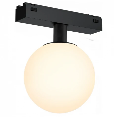 Трековый светильник магнитный 48V iLedex Vision48/25 4825-046-D120-6W-340DG-4000K-BK (шар)