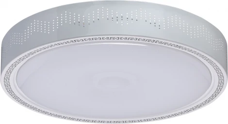 Потолочный светильник MW-Light Ривз 674012001