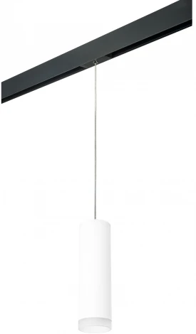 Трековый светильник однофазный 220V Lightstar Rullo PRORP649680 (круглые)