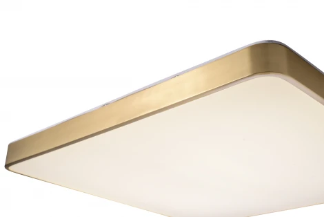 Потолочный светильник Zortes Monna ZRS.1209.07 (LED, 220V)