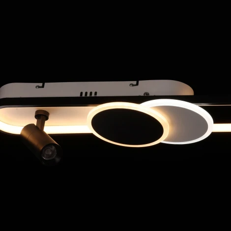 Настенно-потолочный светильник со спотом DeMarkt Драйв 377013604 (LED, 220V, пульт управления)