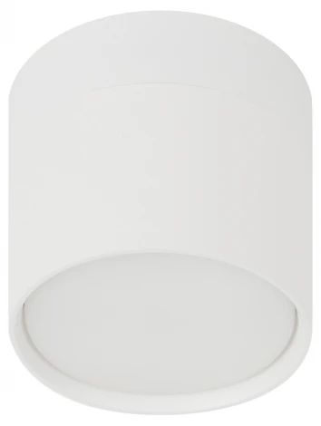 Спот ЭРА OL12 GX53 SWH OL12 GX53 SWH