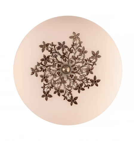 Настенно-потолочный светильник Silver Light Verbena 836.30.3