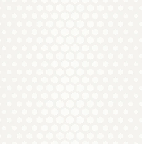 Обои флизелиновые SK Filson Sovereign DE41859 10,05 x 0,52 м