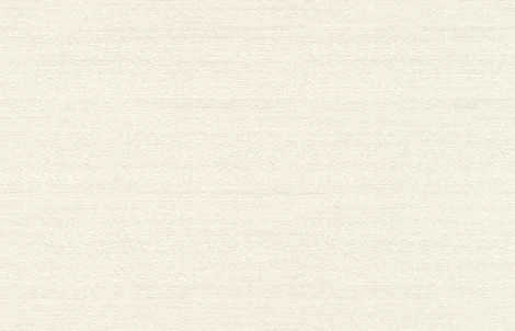 Обои виниловые Rasch Etro II 533958 10,05 x 0,7 м