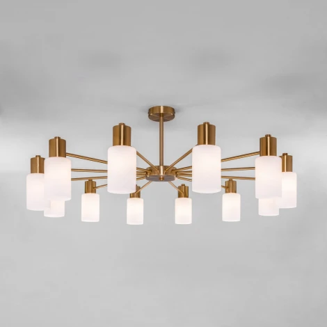 Потолочная люстра на штанге Eurosvet Vegga 70160/12