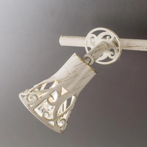 Спот на штанге Citilux Винон CL519525 (220V, круглые)