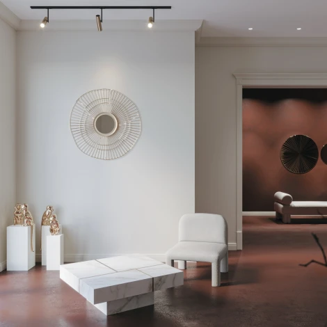 Трековый светильник Elti Unity GU10 50Вт (однофазный) Maytoni Technical TR005-1-GU10-BG (220V, круглые)