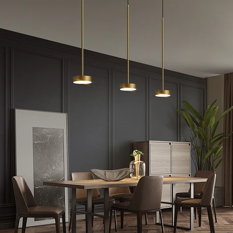 Подвесной светильник с гибким неоном Lightera Taylor LE242L-1G