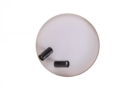 Потолочный светильник круглый со спотами Zortes Raizy ZRS.1888.01 (LED, 220V, круглые)