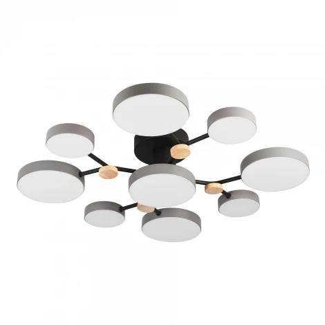 Потолочная люстра светодиодная с пультом с регулировкой цветовой температуры и яркости LED4U LED4U L3201-780 GR