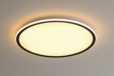 Потолочный светильник круглый с пультом Zortes Galo ZRS.10112.07 (LED, 220V, круглые)