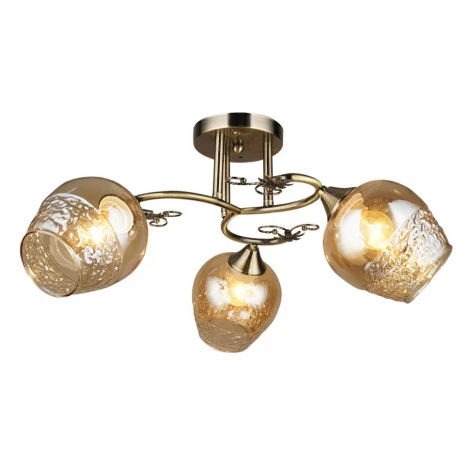 Потолочная люстра Wedo Light Альби 66364.01.05.03