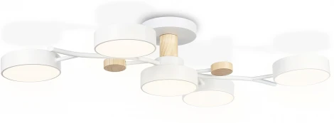 Потолочная люстра на штанге светодиодная с пультом Ambrella Comfort FL4834 (регулировка яркости, 220V, круглые)