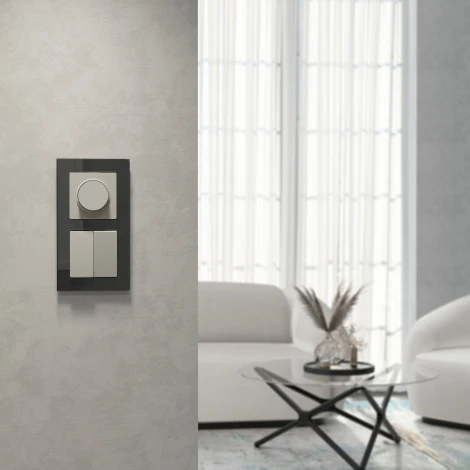 Выключатель двухклавишный (дымчатый) Werkel W1220004