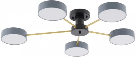 Потолочная люстра светодиодная на штанге Arte Milano Ferrara 252006/5 Bk/Gr (220V, круглые)